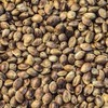 Масло конопляное сыродавленное, 250 мл - конопляные семена конопляные семена