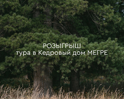 Разыгрываем тур в Кедровый Дом